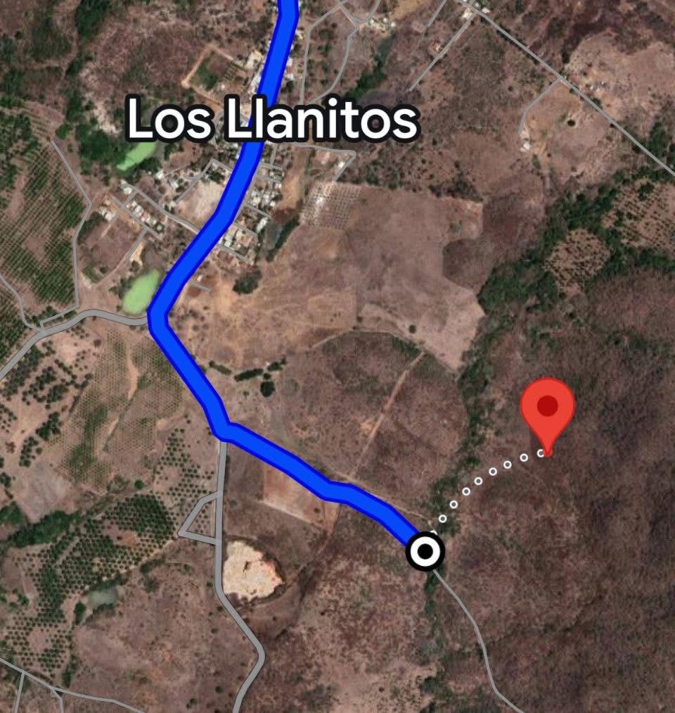 Imagen de WhatsApp 2025-08-03 a las 22.39.43_87bb1d5b